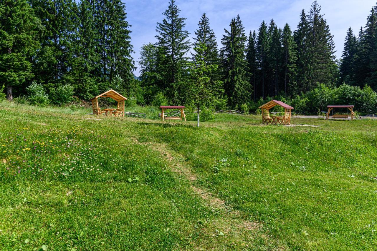Fabulous Panorama Silver Mountain Apartments Poiana Brașov Exterior foto